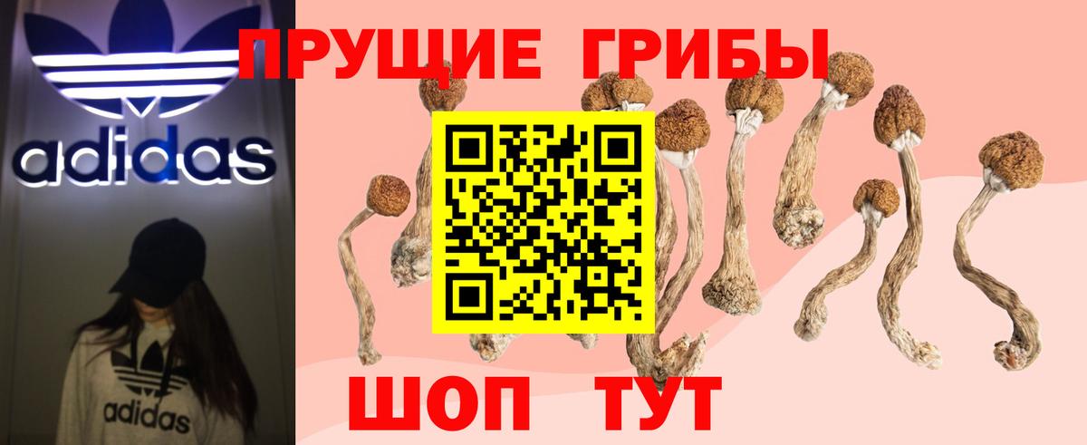 Галлюциногенные грибы мухоморы Белово